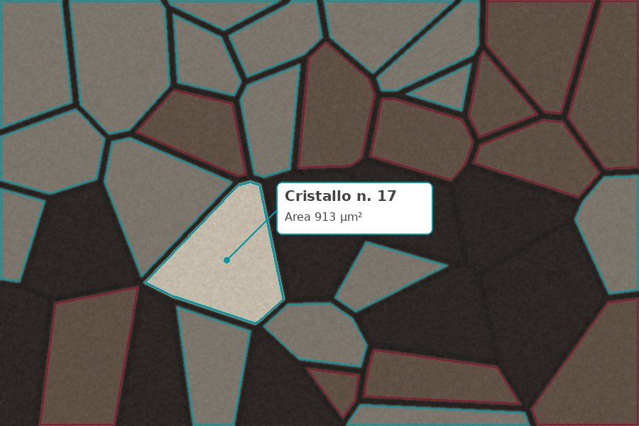 Illustrazione della segmentazione dei cristalli in un'immagine al microscopio